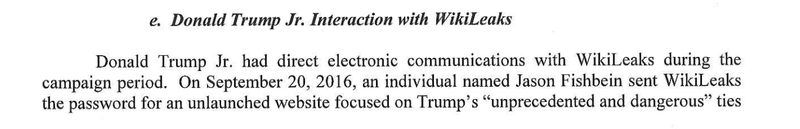 Illustration for article titled Don Jr. Is Too Stupid to Conspire and Other Petty Things We Learned From the Mueller Report